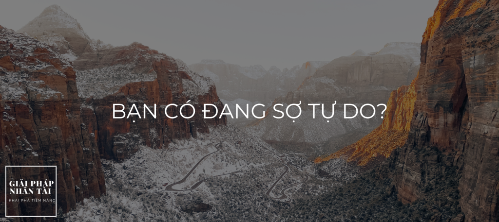 Bạn có đang sợ tự do