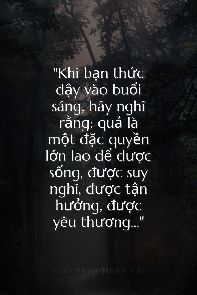 33 Danh ngôn về Chủ nghĩa Khắc kỷ 3