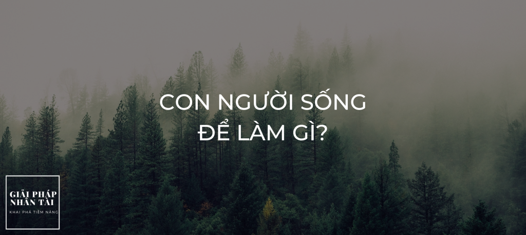 Con người sống để làm gì