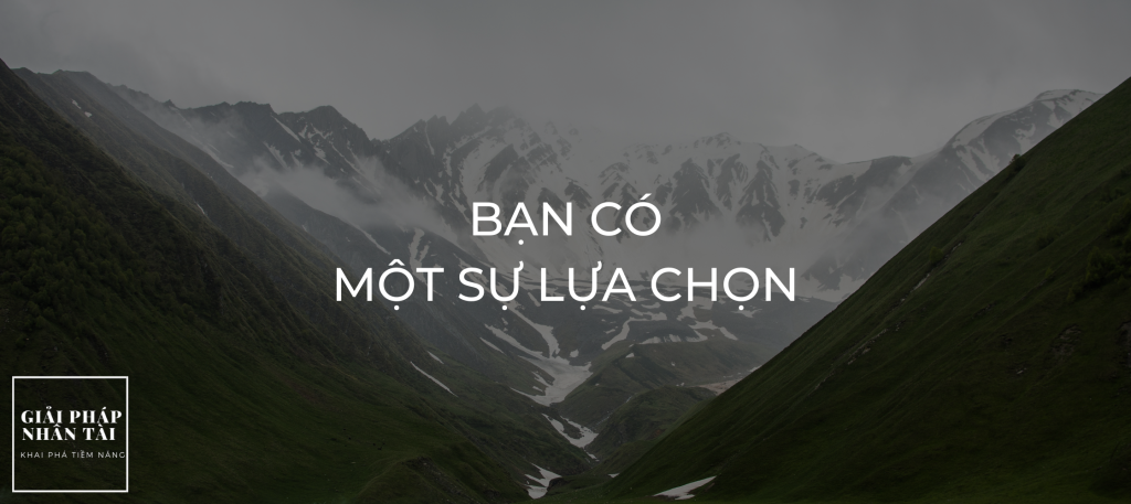 Bạn có một sự lựa chọn