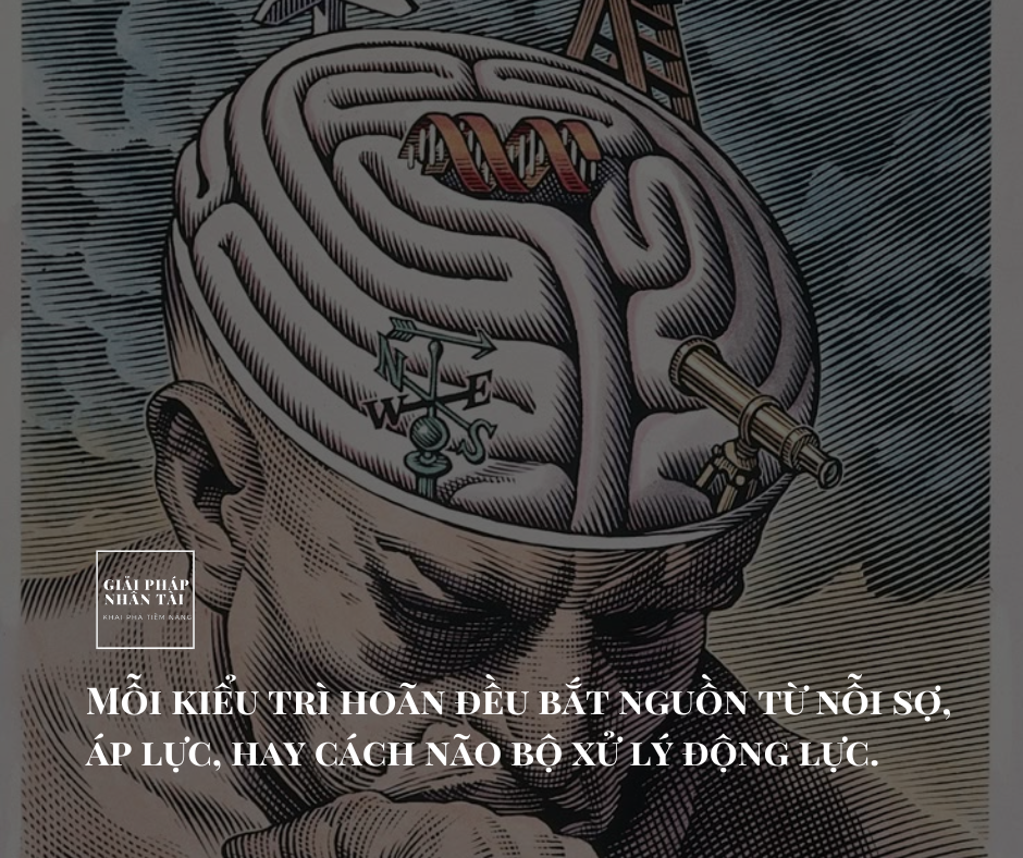 NGUYÊN NHÂN TRÌ HOÃN
